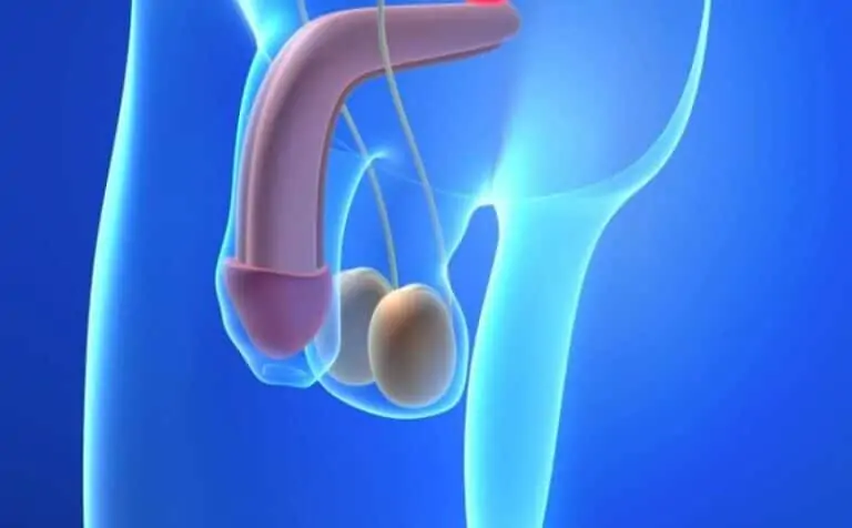 عملية تجميل القضيب عملية تجميل القضيب
